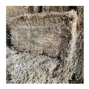 ใบเจลลี่หญ้าแห้งข้อมูลสีทอง99รายการจากเวียดนามสำหรับการใช้วุ้นหญ้าและชาสมุนไพรซัพพลายเออร์ - Product Image 2