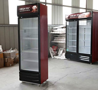 Réfrigérateur à boissons vertical à porte vitrée simple, refroidisseur de boissons instantané à bas prix, vitrine commerciale