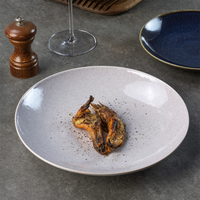 YAYU 2024 Marque privée, vaisselle en céramique et porcelaine, design personnalisé, glaçure grise naturelle, ensemble d'assiettes pour pâtes et soupes, assiettes de restaurant