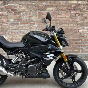 Motocicleta Deportiva B-M-W 24RA - Product Image 1