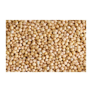 High Quality Organic Non-GMO <b>Soybean</b> Dried Style Bulk Packaged for Sale - Product Image 3