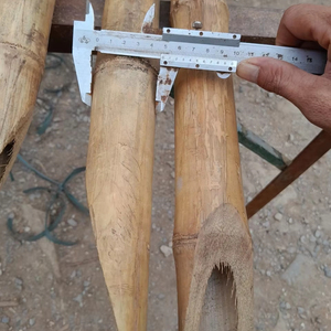 Postes de bambú natural sólido y confiable de Vietnam para soporte de riego agrícola profesional y proyectos de cercas de jardín - Product Image 4