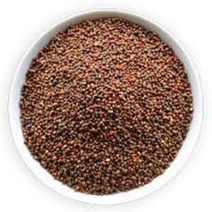 Suministro de fábrica al por mayor, extracto de semillas de brócoli con 0.1% sulforafano, producto agrícola - Product Image 1