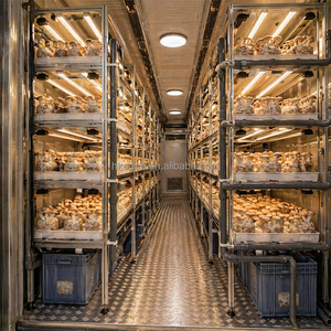 Conteneur clé en main pour la culture de champignons, conçu pour la production professionnelle de mycètes, avec système d'étagères et d'éclairage spécialisés - Product Image 5