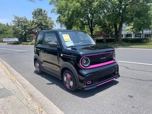 Geely Panda 2025-Panda Kart Usado - Autonomía de 210 km - Product Image 3