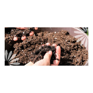 Fournisseur fiable de tourbe en vrac pour les marchés d'exportation - Product Image 6