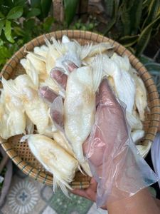 ขายส่งปลาปังกัสซิอุสแห้ง 5 ปอนด์ โรงงานผลิตปลาปังกัสซิอุสแห้ง ANGLE - Product Image 2