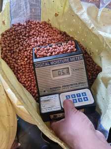 Cacahuete seco de alta nutrición de Vietnam para comidas y refrigerios saludables a un precio justo - Product Image 5