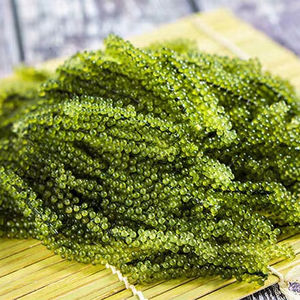 100% Deliciosa uva de mar seca natural para exportación en Vietnam - Product Image 1