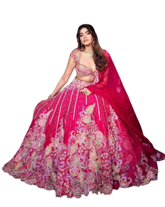 Ropa de boda tradicional india y paquistaní Heavy Zari Work bordado Lehenga Choli colecciones para funciones nupciales - Product Image 1