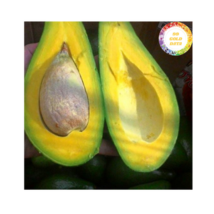 Aguacate congelado puro fresco Vietnam aguacate Material para bebidas hornear cocinar y suministro de alimentos al por mayor global - Product Image 6