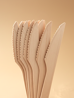 Couteaux en bois de 165 mm, écologiques, biodégradables, en bois de bouleau, pour hôtels et restaurants, couteaux jetables de qualité alimentaire en vrac