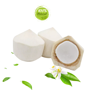 น้ำมะพร้าวปอกเปลือกด้วยเพชรสดที่มีเปลือกสด - Product Image 6