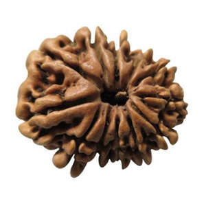 จี้พระรูดราคชา 12 หน้า ของแท้ 100% พร้อมใบรับรองจากเนปาล - Product Image 1