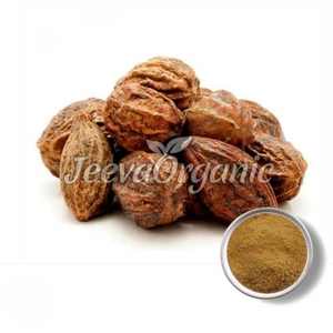 Poudre d'extrait de Terminalia Chebulic organique de haute qualité extrait de plante naturelle pure pour les dents prix usine approvisionnement en vrac inde - Product Image 1