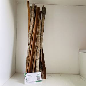 Palitos de canela divididos de primera calidad de exportación de Vietnam-Listo para uso alimentario Lavanga-Patta/Dalchini secos (W...A + 84 366808683) - Product Image 4