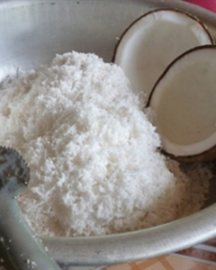 COCO DESHIDRATADO ALTO EN GRASA / BAJO EN GRASA DE VIETNAM / ORIGEN VIETNAM - Product Image 1