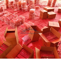 JOBAK Vente en gros de briques de sel de l'Himalaya naturelles sculptées de 5x10x20 cm, certifiées ISO, directement des mines du Pakistan, personnalisables, qualité supérieure
