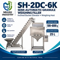 Mesin Penimbang Granul Semi Otomatis untuk Kantong Makanan dan Bahan Kimia dengan Hopper Ganda, Vibrator Ganda, dan Penanganan Kantong Manual