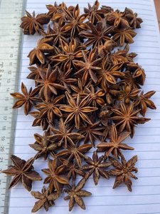 Anís estrellado de Vietnam, especia entera seca, hierba aromática natural cruda para cocinar y preparar té - Product Image 2