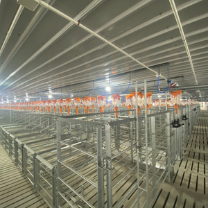 L'équipement le plus vendu pour les caisses de gestation pour porcs est fabriqué en acier inoxydable 304 durable, durable et résistant à la chaleur Mavinex - Product Image 2