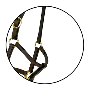 Halter en cuir de selle anglaise fabriqué à la main de qualité supérieure Équipement occidental d'entraînement confortable et élégant avec rembourrage souple en nylon durable - Product Image 6