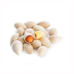 Selling Ginkgo Nuts Fresh <b>Raw</b> Ginkgo Nuts Medical BULK Style <b>Packaging</b> Color <b>Material</b> Natural Half Opened Sales - Product Image 3