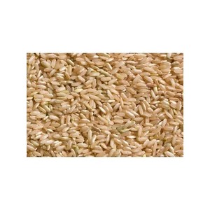 Riz brun mou séché OGM de qualité supérieure pour les marchés de gros africains, moyen-orientaux et asiatiques - Product Image 5
