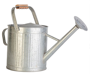 Regadera de metal de la mejor calidad Acabado galvanizado Venta caliente Lata de agua Ideal para plantas de riego de productividad de jardín - Product Image 1