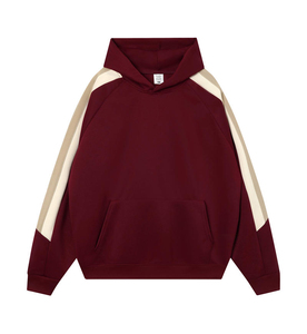 Sweat-shirts à capuche surdimensionnés en coton épais pour hommes, streetwear d'hiver, broderie 3D, logo imprimé coloré, épaules tombantes - Product Image 3