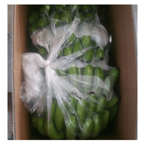 Venta al por mayor 100% Natural Fresh: BANANAS Cavendish frescas-productos de exportación de alta calidad en todo el mundo - Product Image 4