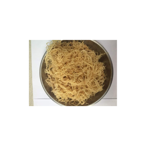 Tiras de algas marinas secas de algas Kombu de primera calidad, ideales para caldo, sopa, condimento umami, venta al por mayor, proveedor de algas marinas de grado alimenticio a granel - Product Image 5