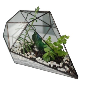 Diferentes formas de alta calidad, único, atractivo, mejor diseño, marco de Metal, Terrario de vidrio transparente, decoración para interiores y exteriores - Product Image 1