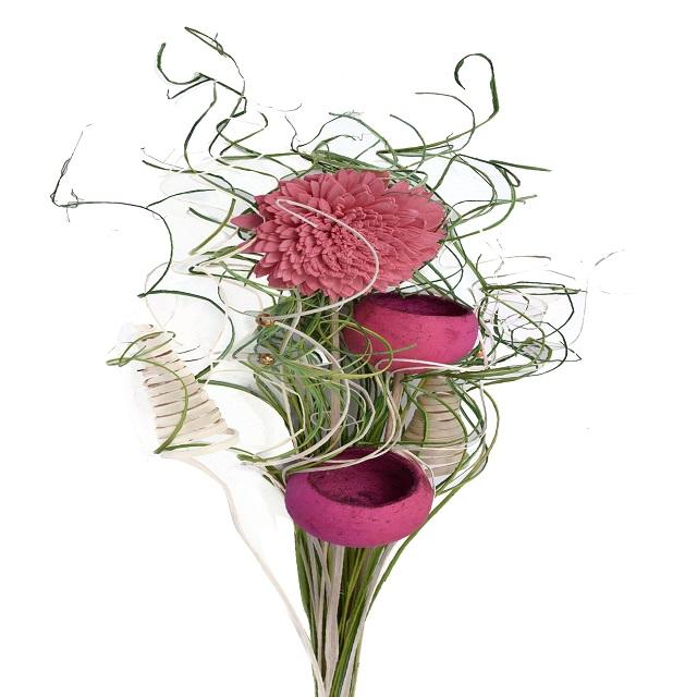 กุหลาบต้นแมดเด