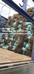 Matière première pour engrais sargasses algues/sargasses séchées pour l'alimentation animale au meilleur prix Mme Lily - Product Image 2