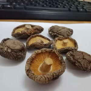 Setas Shiitake secas Tamaño mediano 1lbs Seta Shiitake seca 4-5cm 8 oz Setas Shiitake secas para cocinar ÁNGULO - Product Image 1