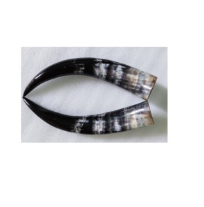 Uffalo-cuerno de búfalo para decorar el hogar y las habitaciones, cuerno montado en la pared, tamaño personalizado y precio barato - Product Image 4