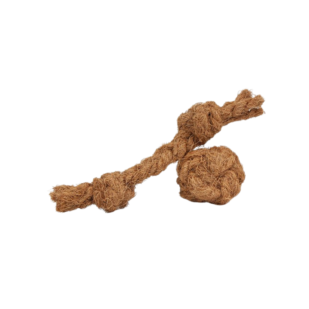 ธรรมชาติ