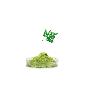 Extracto de Moringa de alta calidad 10:1 polvo de hoja de Moringa polvo de Moringa - Product Image 6