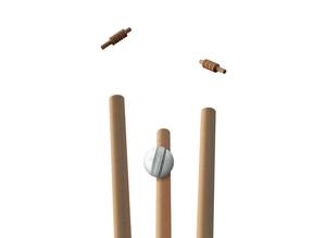 Ensemble de 3 souches de cricket en plastique de qualité supérieure pour personnes âgées - Product Image 5