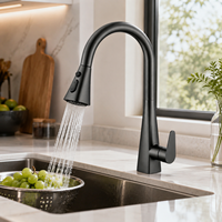 Robinet de cuisine moderne en laiton massif, finition or brossé, double poignée, douchette haute à double mode, montage sur comptoir, pour hôtels et restaurants, cartouche céramique