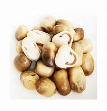 SETA DE PAJA ENTERA SIN ADITIVOS ETIQUETA LIMPIA PRODUCTO DE APOYO INMUNE A BASE DE PLANTAS - Product Image 5