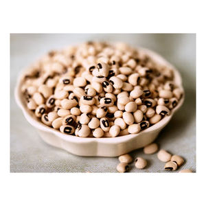 Haricots noirs en vrac positionnés pour une approvisionnement et une distribution économiques - Product Image 2