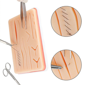 Wholesale Durable Medical Anatomy Teaching Tools Suture <b>Practice</b> <b>Pads</b> for Medical Students Ce Certified ISO Approved - Product Image 4