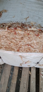 ส่งออกเปลือกกุ้งแห้งคุณภาพสูงจากเวียดนาม ส่งออกจำนวนมาก - Product Image 3