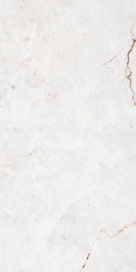 Evergreen Model Special Surface Asia Tiles Elevation Tiles 600X1200mm Manufacturing in India for Luxury Big Villa. - Product Image 2