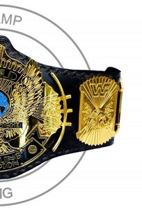 Cinturones de Campeonato Personalizados! Cinturón de Campeonato Mundial de Lucha Libre - Product Image 2