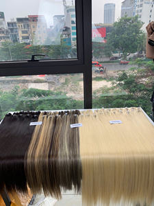 Extensions de cheveux de trame Bundle de couleur blonde de haute qualité Double dessiné 100% cheveux vietnamiens vierges expédition rapide - Product Image 2