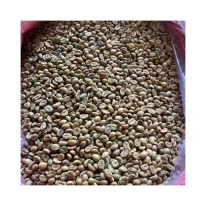 도매 최고의 품질 로부스타 커피 콩 좋은 가격 아라비카 녹색 커피 콩 S14/S16/S18 깨끗한 맞춤형