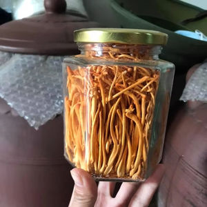 Cordyceps Militaris lyophilisés de haute qualité pour les marques de suppléments OEM ODM prêt - Product Image 5